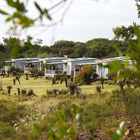 Stoneyvale Cottages グラハムズタウン エクステリア 写真