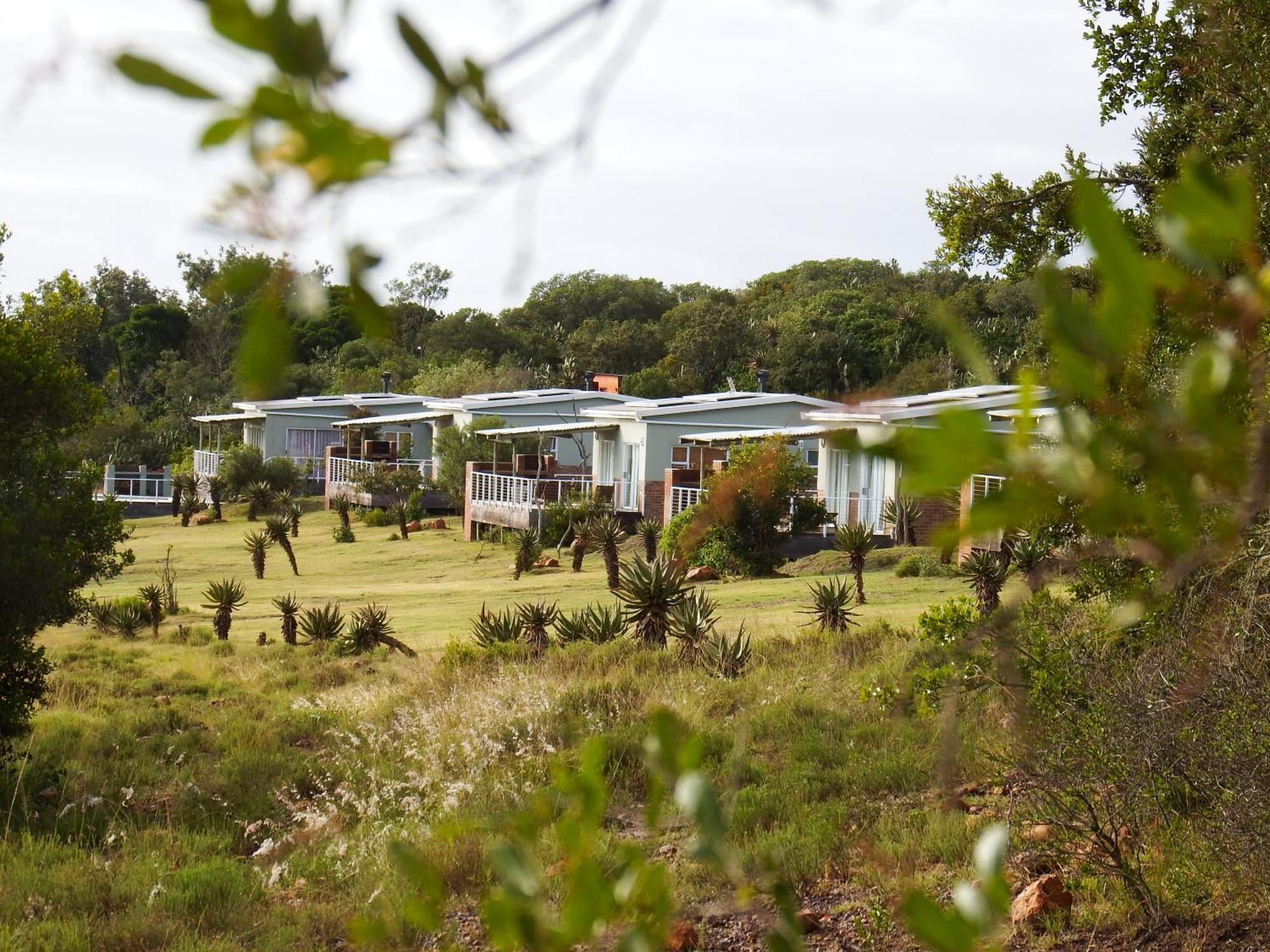 Stoneyvale Cottages グラハムズタウン エクステリア 写真