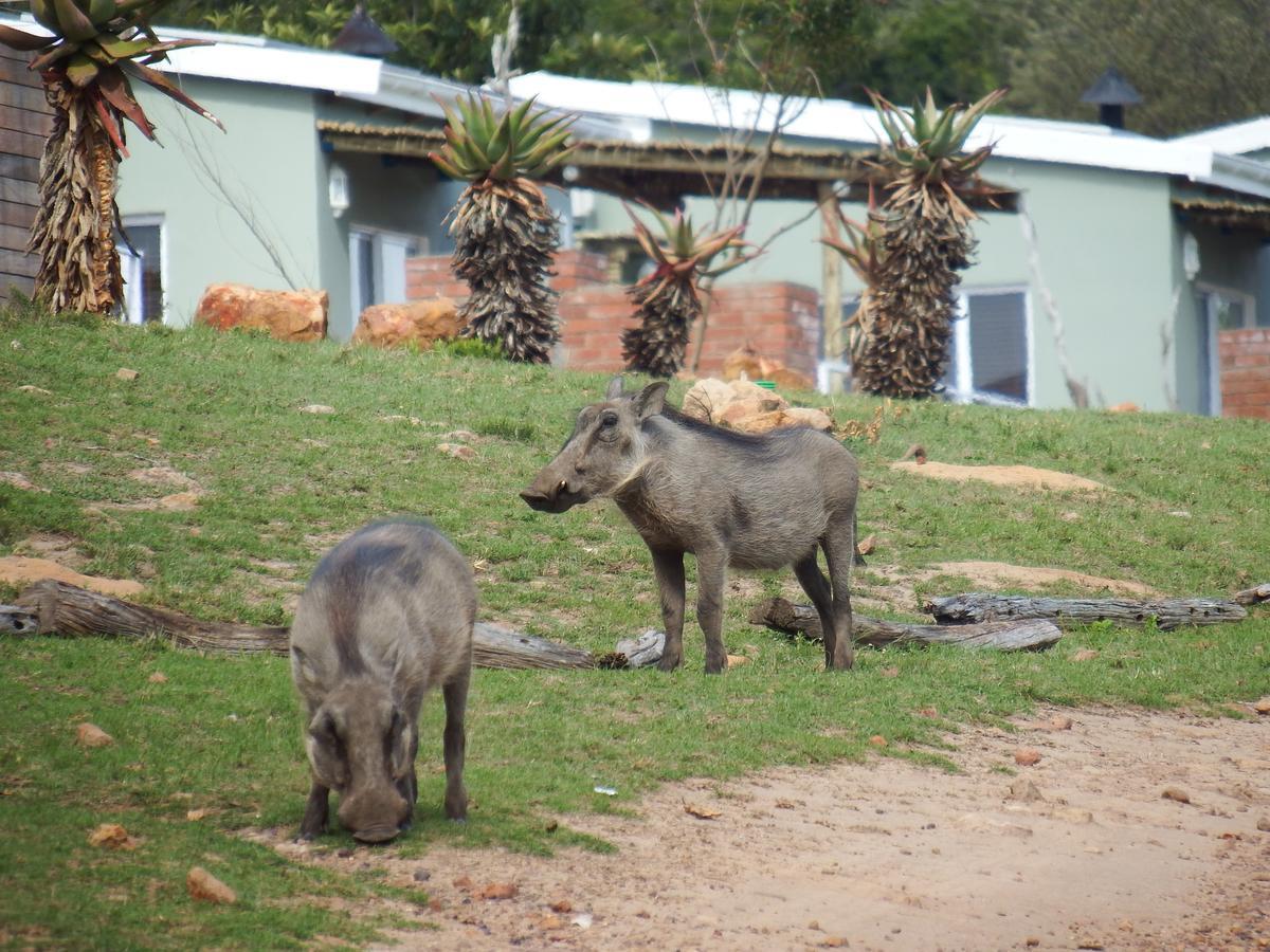 Stoneyvale Cottages グラハムズタウン エクステリア 写真